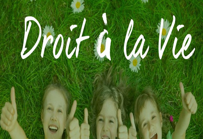 Droit à la vie